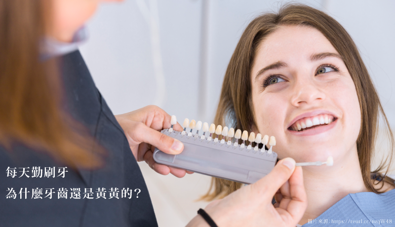 刷樂口腔保健室_每天勤刷牙，為什麼還是牙齒黃?